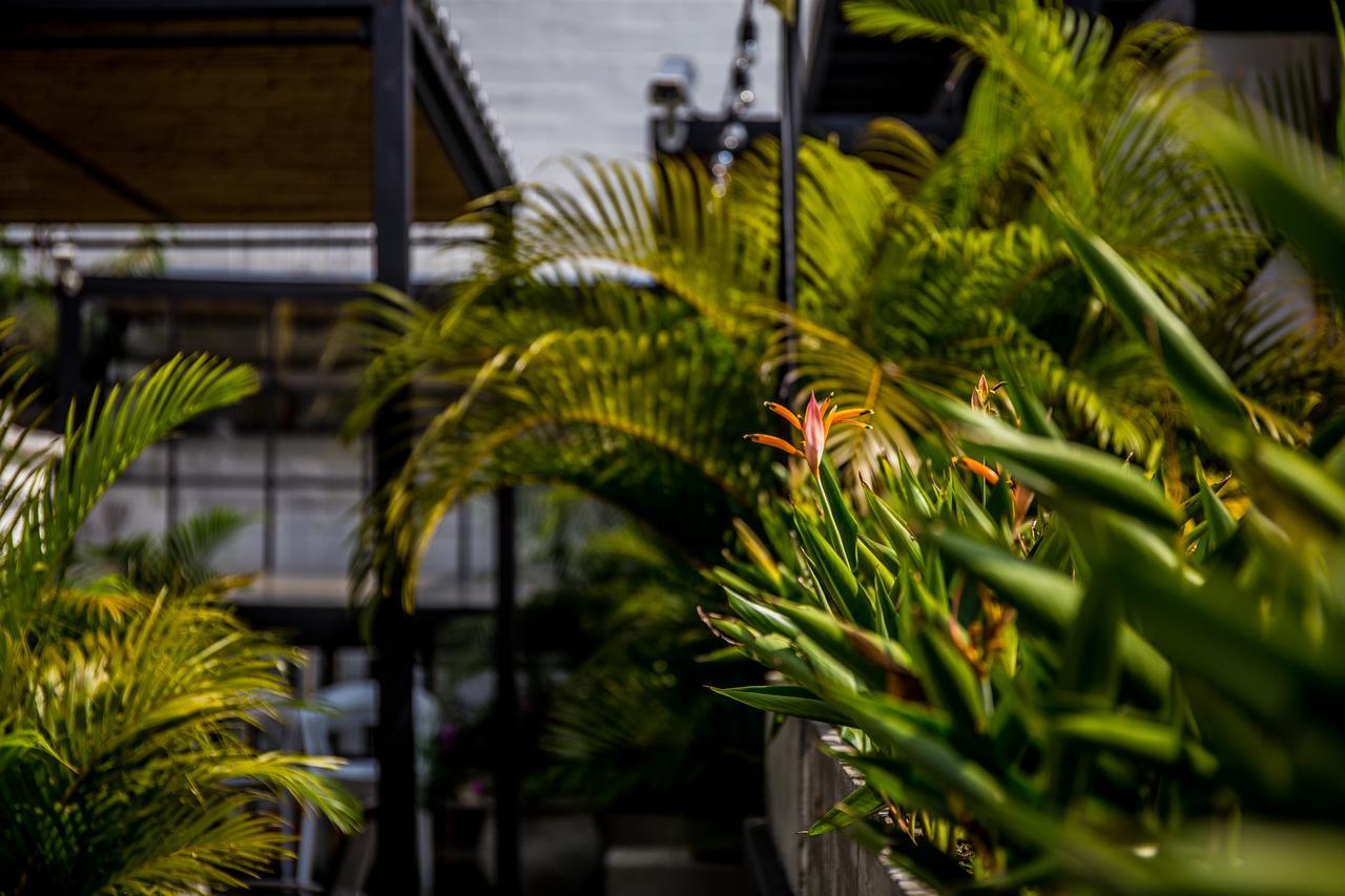 Alko Hotel Boutique Cali Dış mekan fotoğraf